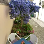 Punta بولا