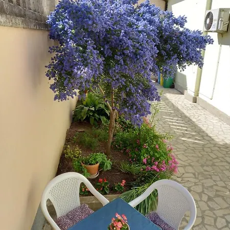 Punta Пула