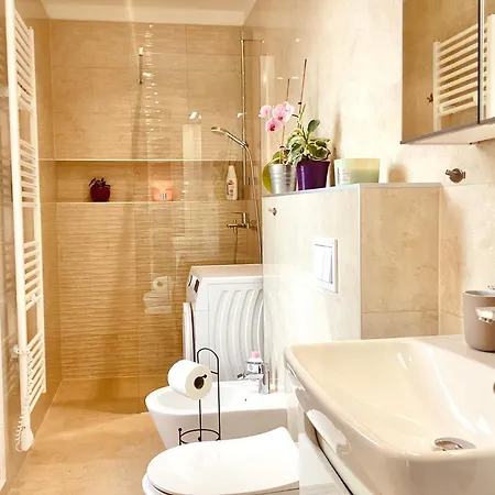 Apartment Punta *